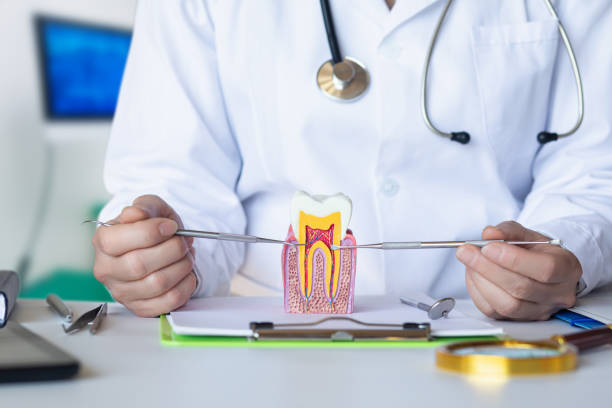 Best Emergency Treatment for Dental Infections or Abscesses in Morganville, NJ
